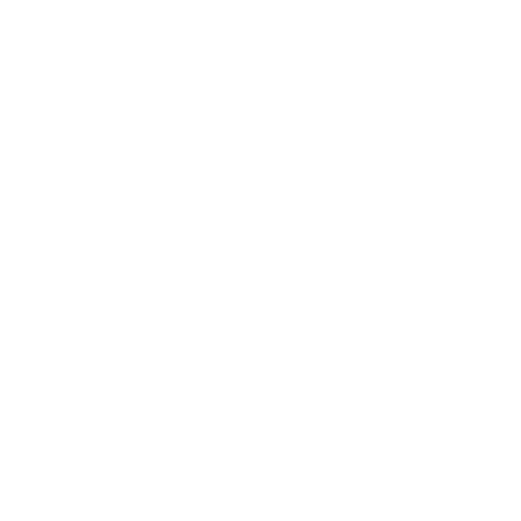 1-to-1 Professional Coaching